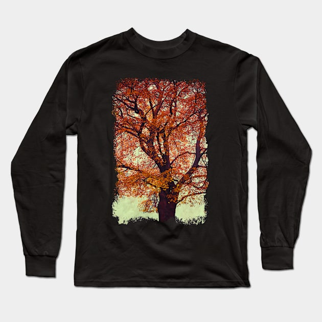 Beech Tree In Fall Colors Long Sleeve T-Shirt by DyrkWyst